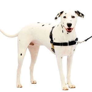 Size M Gentle Leader Easy Walk Harness